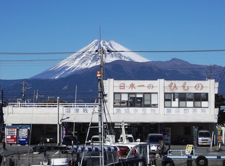 20140117%20numazu.jpg